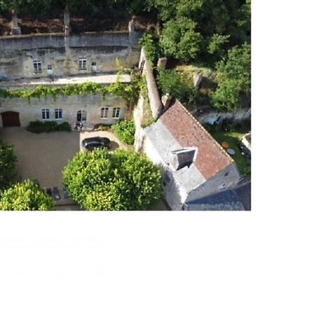 Maison Troglodyte Elegante Avec Spa, Salle De Jeux Et Jardin Clos A Vouvray - Fr-1-381-87 외부 사진